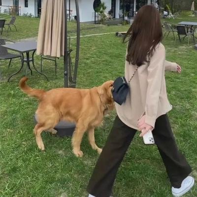 卡尔的约会海报